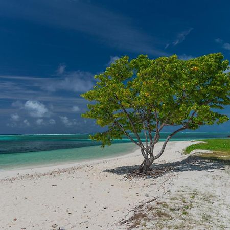 Chao Guest House Maafushi Exteriér fotografie