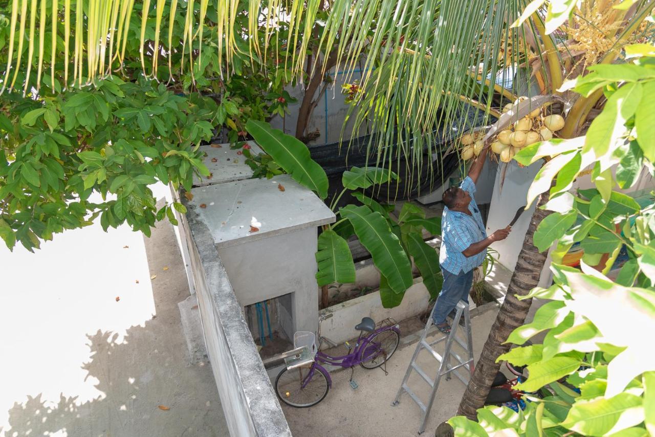 Chao Guest House Maafushi Exteriér fotografie