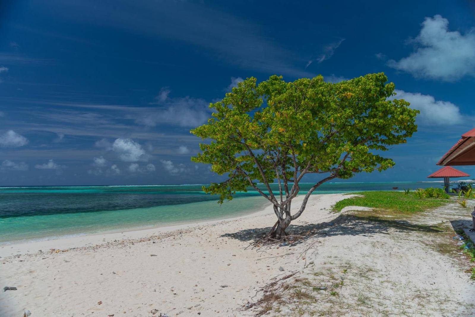 Chao Guest House Maafushi Exteriér fotografie