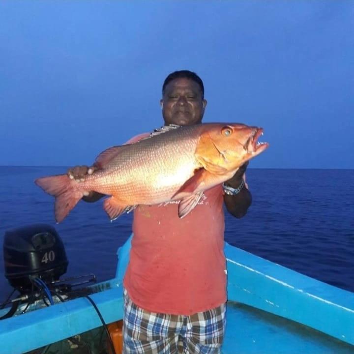 Chao Guest House Maafushi Exteriér fotografie