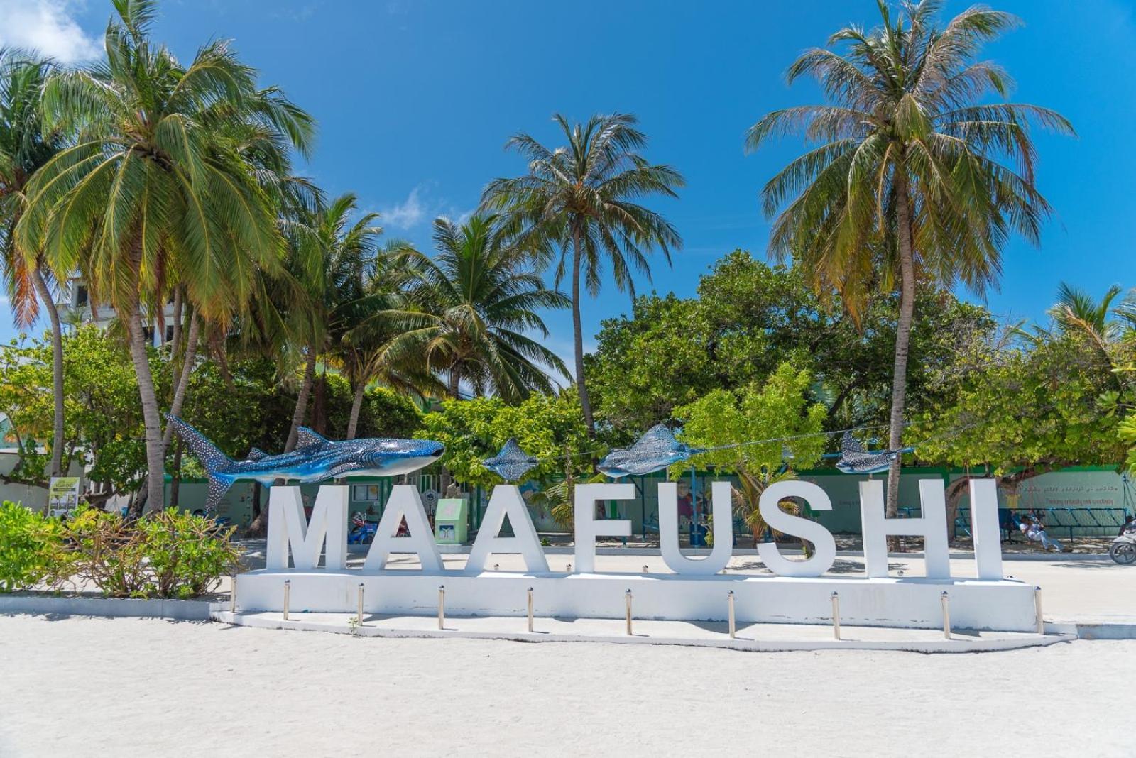 Chao Guest House Maafushi Exteriér fotografie